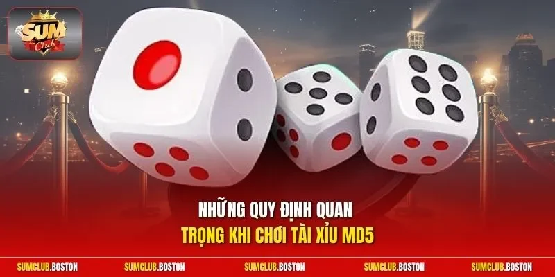 Những quy định quan trọng khi chơi Tài Xỉu MD5