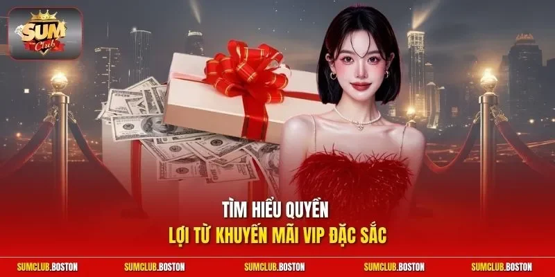 Tìm hiểu quyền lợi từ khuyến mãi VIP đặc sắc